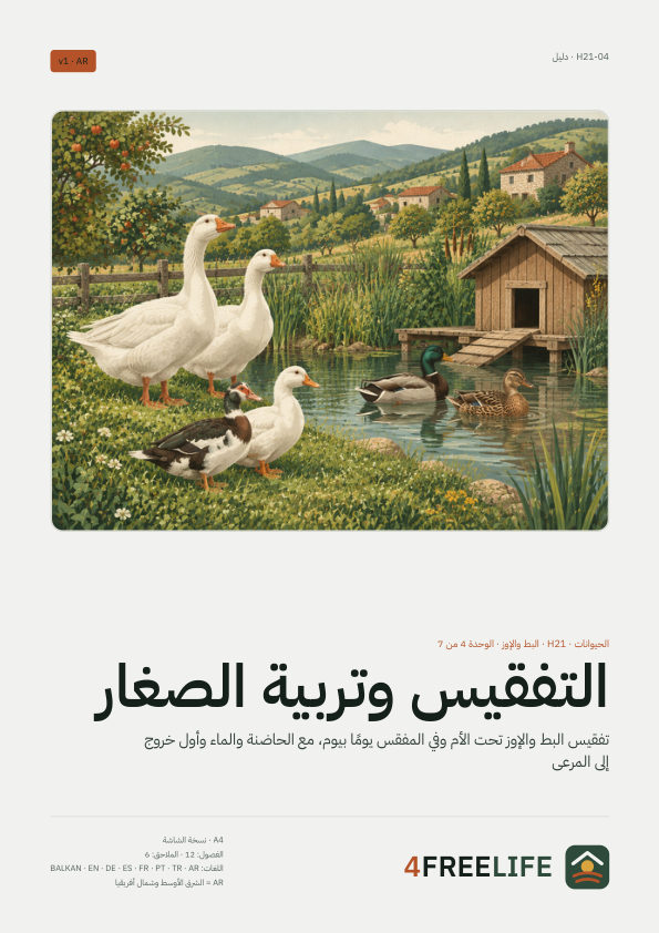 التفقيس وتربية الصغار