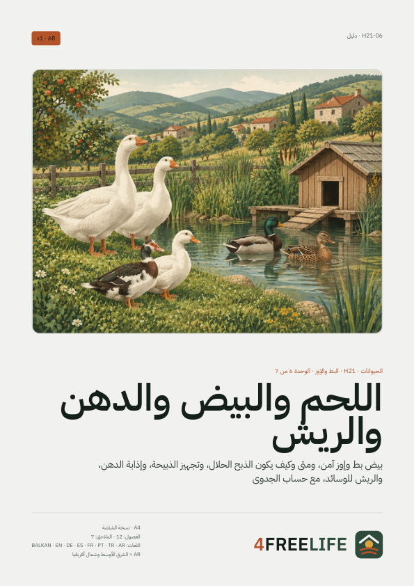 اللحم والبيض والدهن والريش