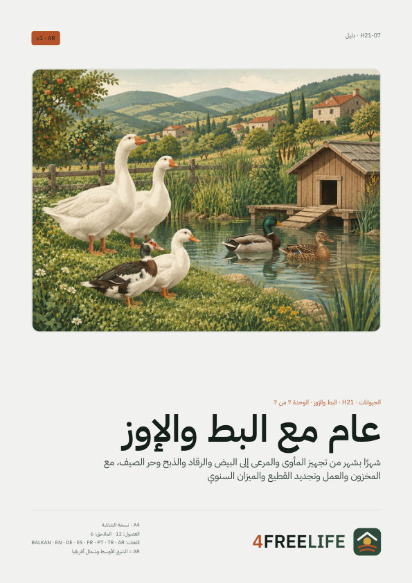 عام مع البط والإوز