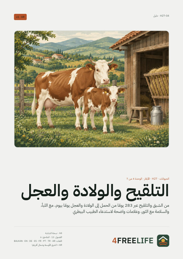 التلقيح والولادة والعجل