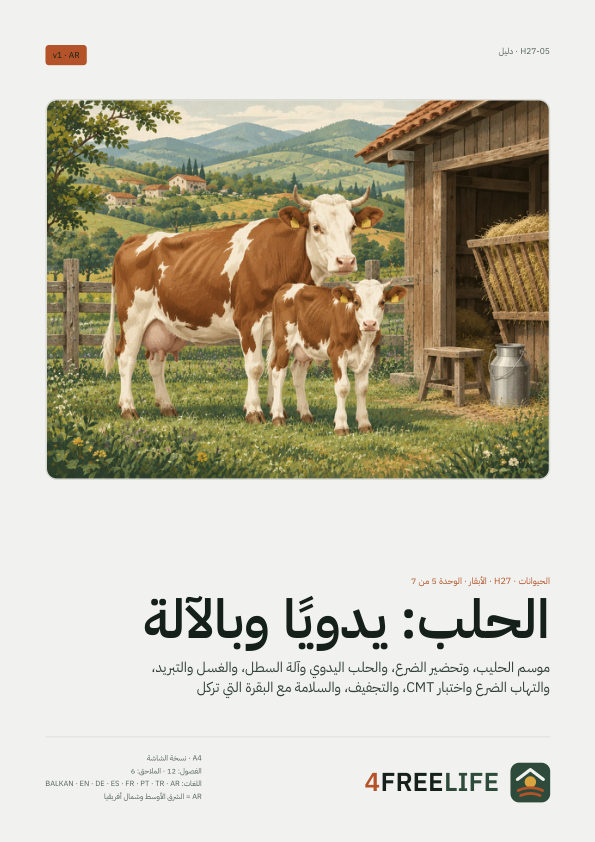 الحلب: يدويًا وبالآلة