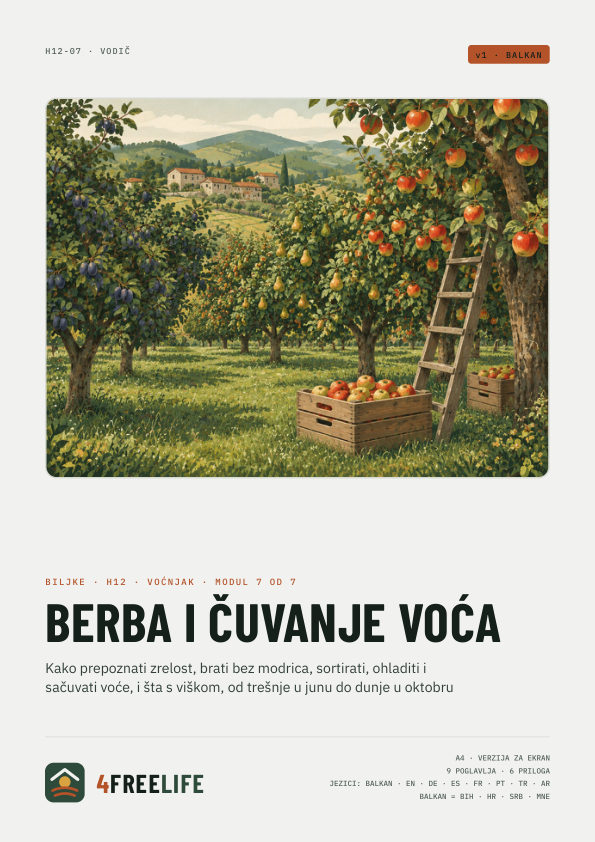 Berba i čuvanje voća