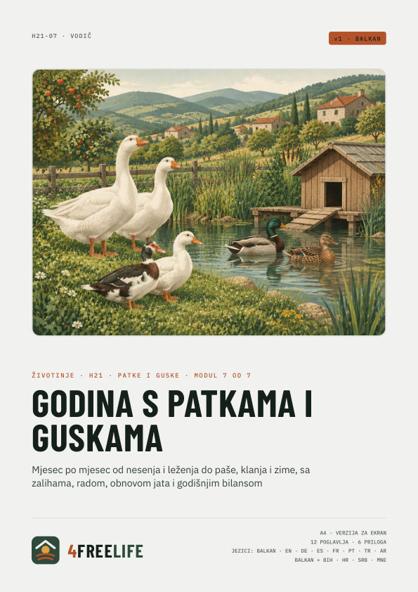 Godina s patkama i guskama
