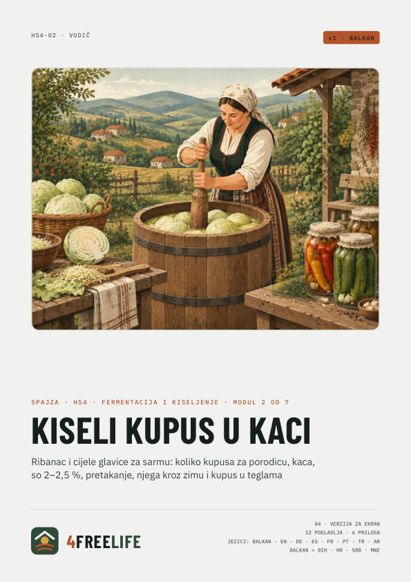 Kiseli kupus u kaci